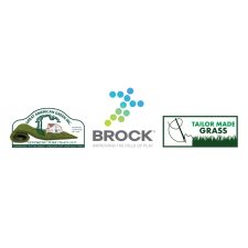 Brock USA | Decatur WatchFest '26